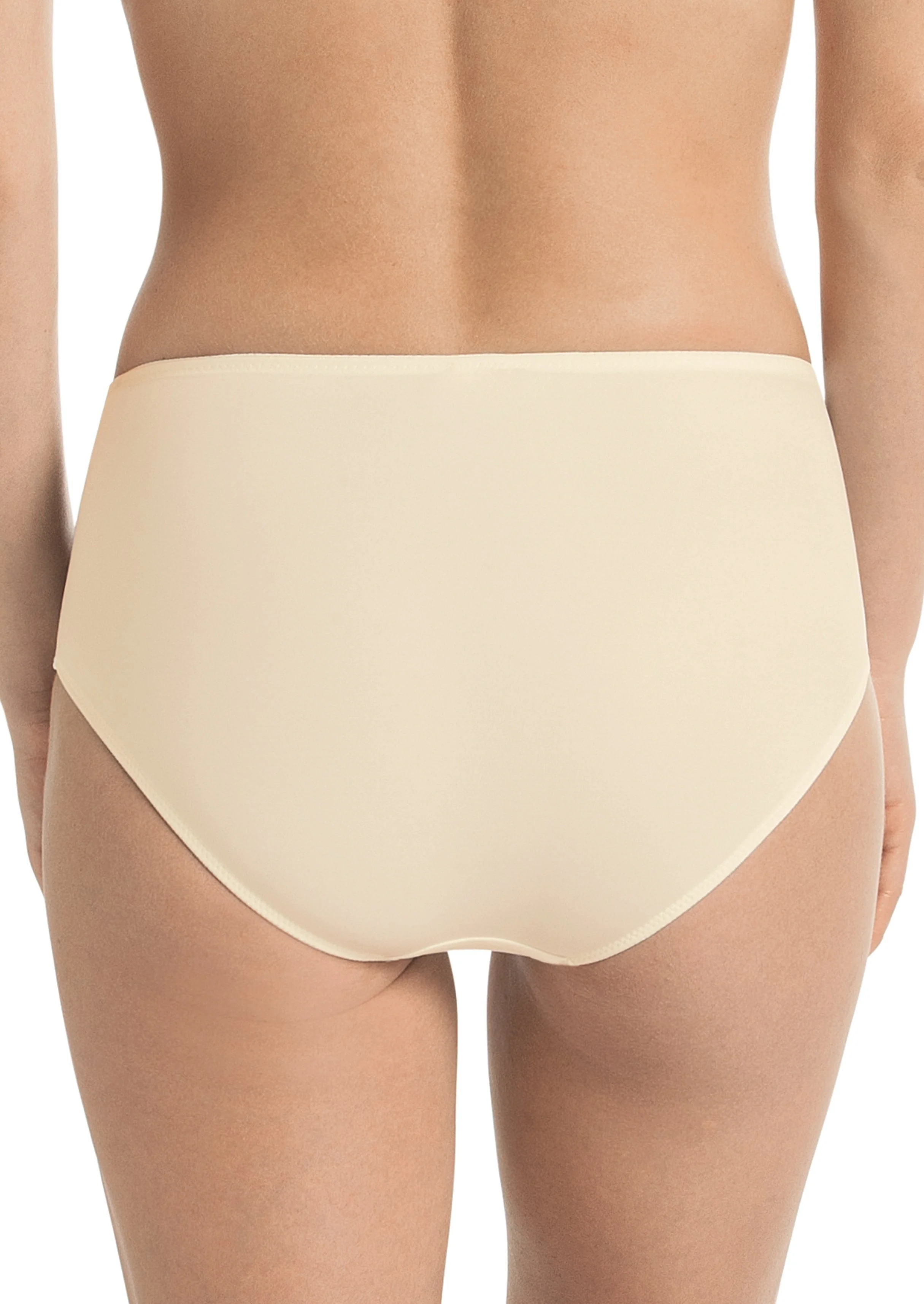 Anita Havanna High Waist Brief - Crystal - Image 2